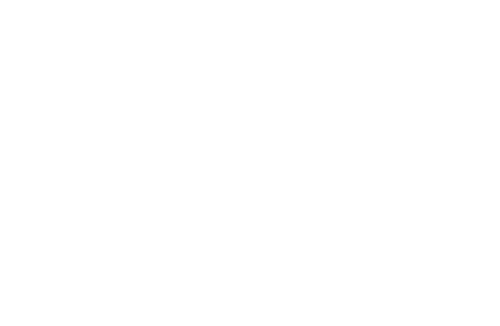 silk day spa logo white